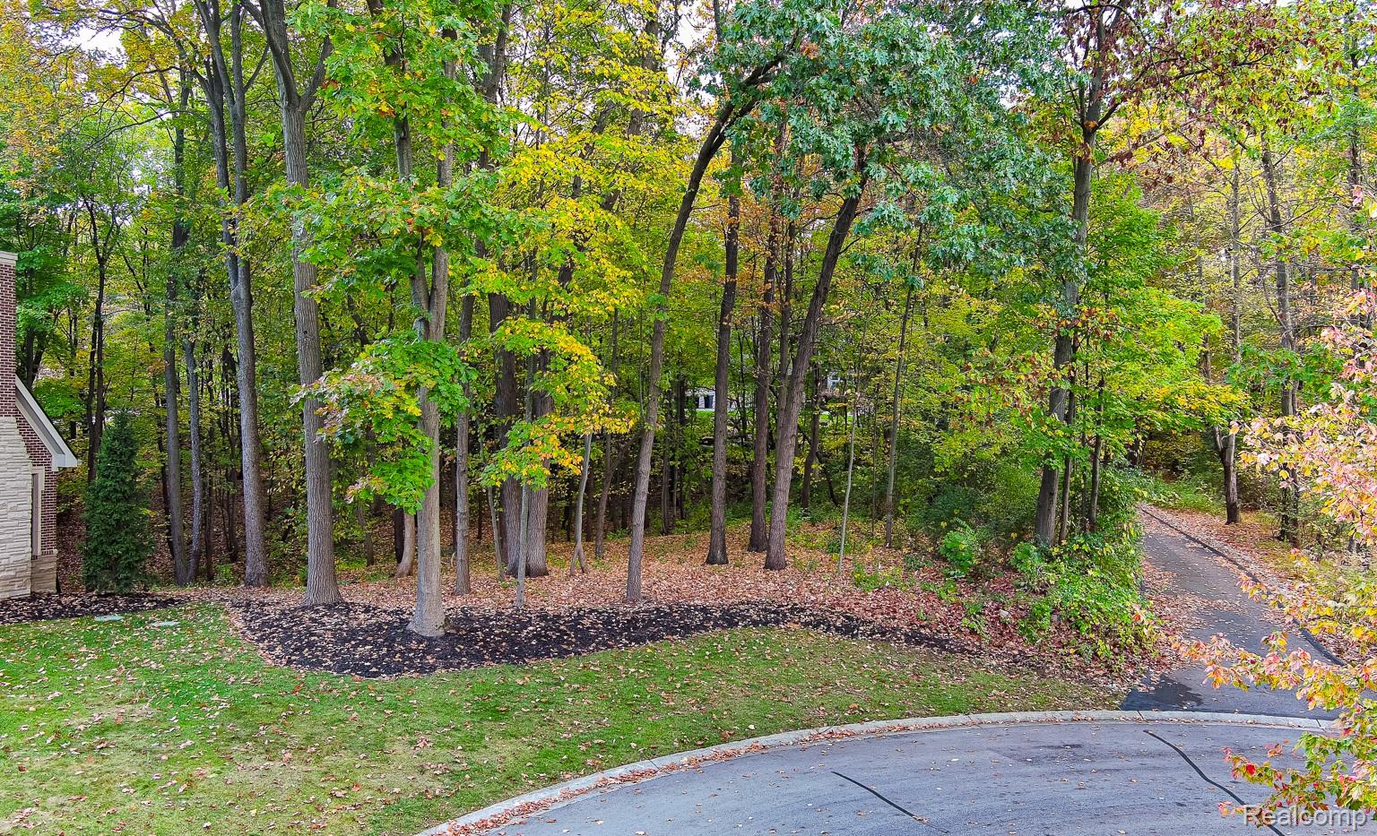 9933 Kingston Ridge