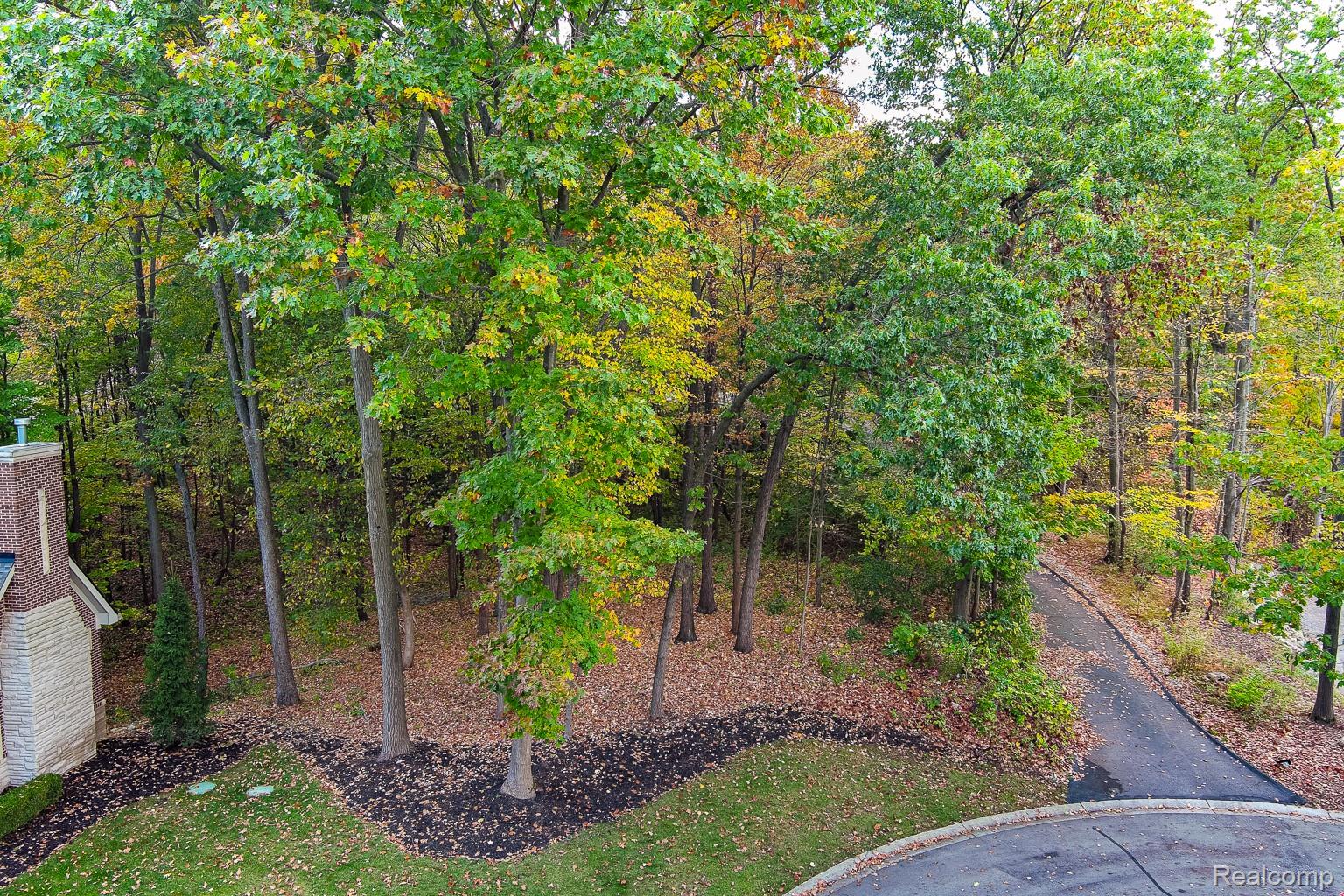 9933 Kingston Ridge