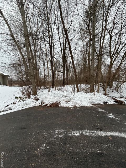 13480 Bryson Court Fenton City MI 48430