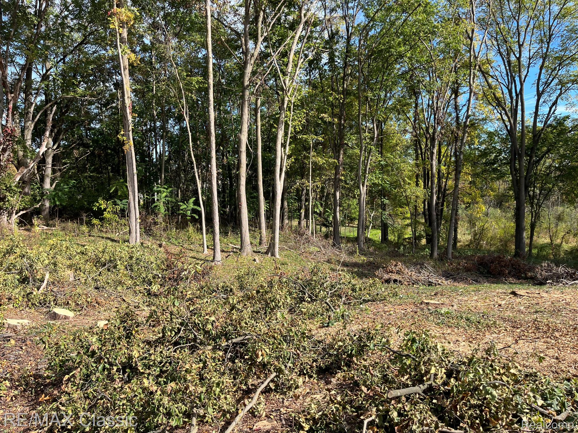 0000 Old Mill Road