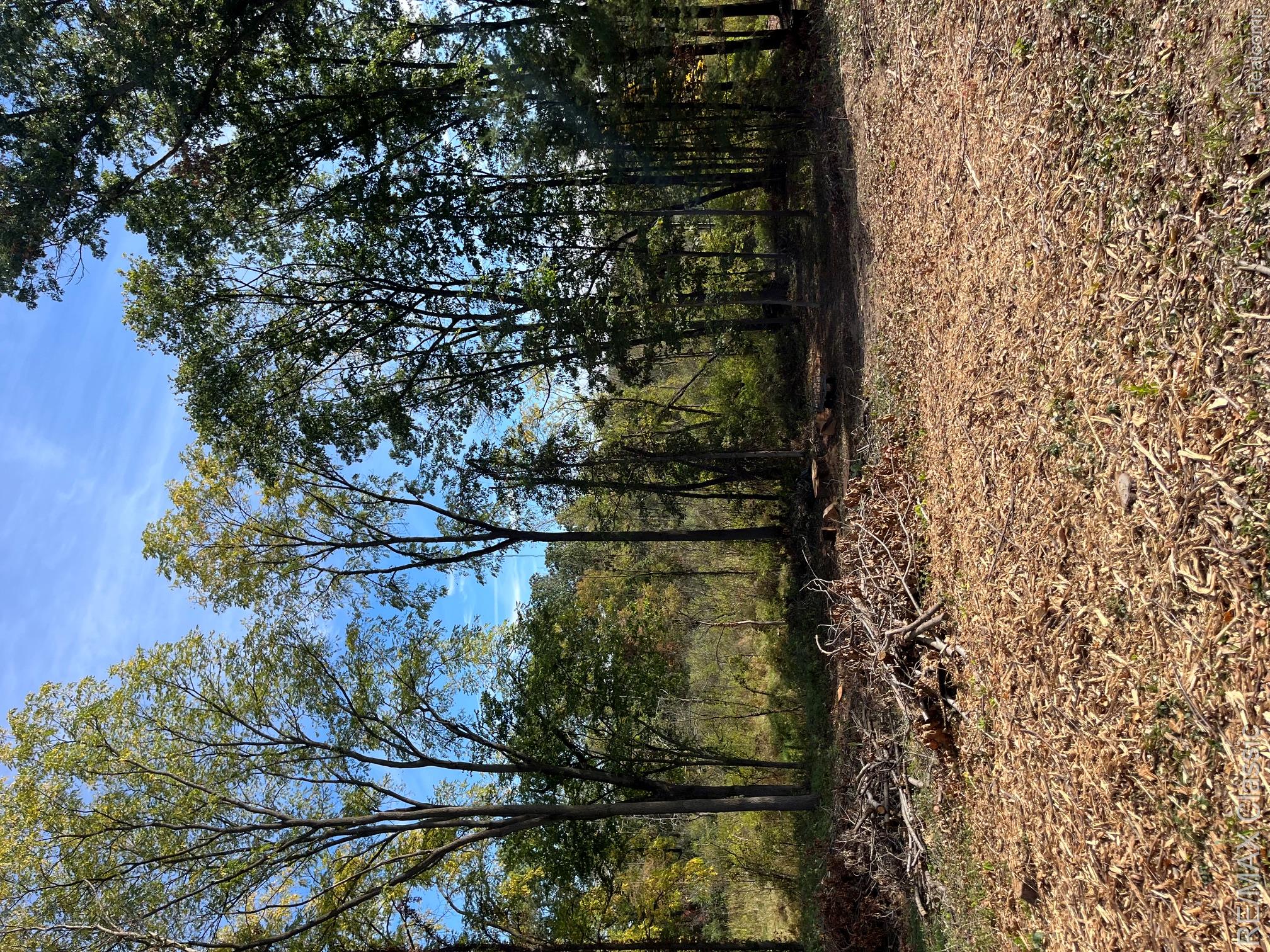 0000 Old Mill Road