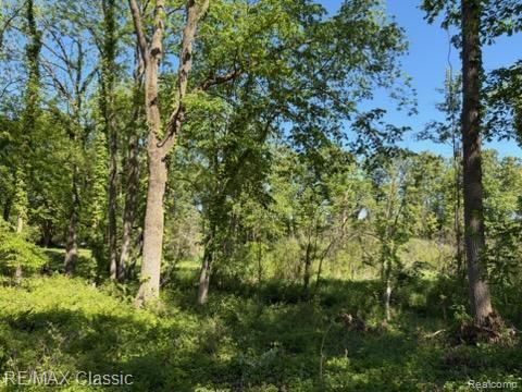 0000 Old Mill Road Hamburg Township MI 48169