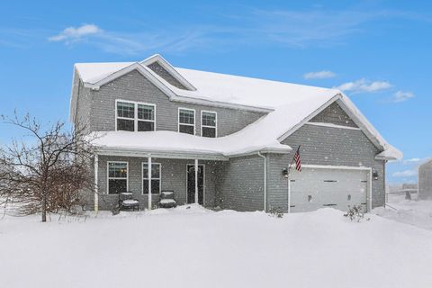 50160 Willis Street Antwerp Township MI 49079