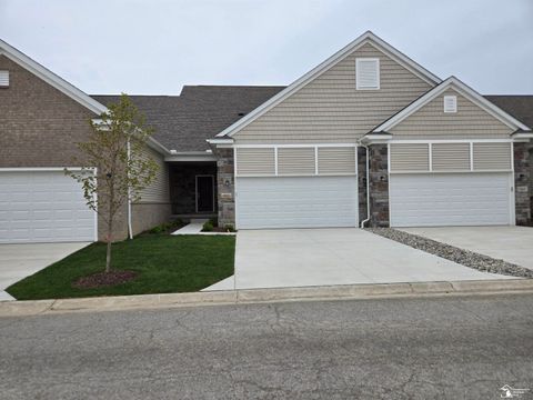 803 Plum Village Drive Raisinville Township MI 48161