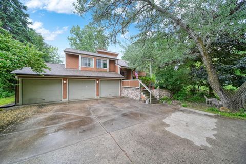 20091 W Old US 12 Chelsea City MI 48118