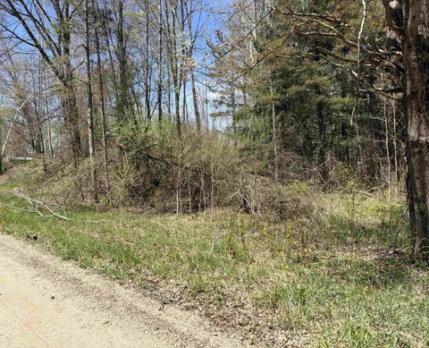 11310 W Rosebush Road Sherman Township MI 48893