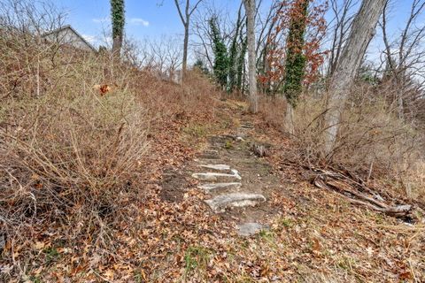 listing image 74