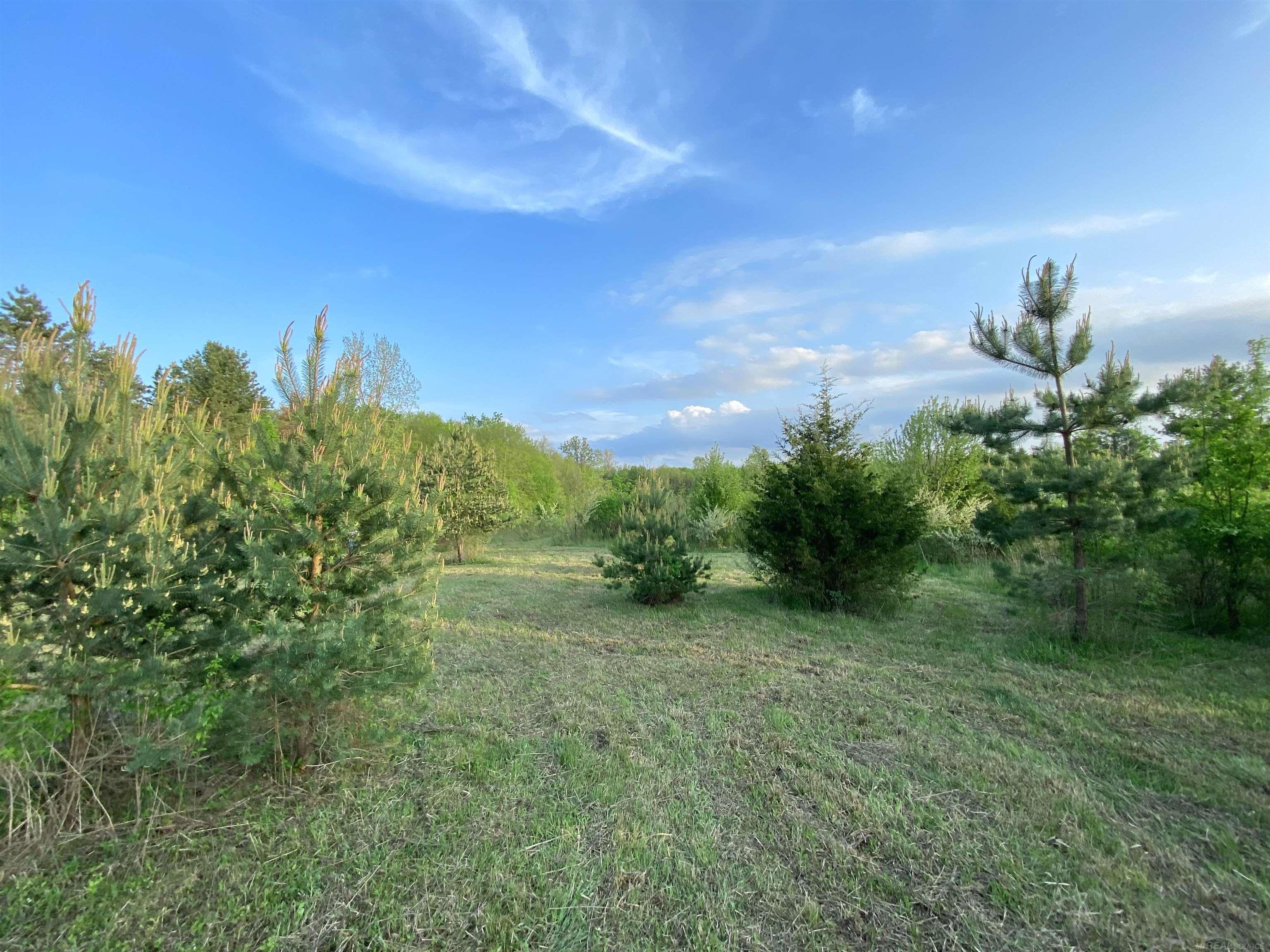 17344 33 Mile Road