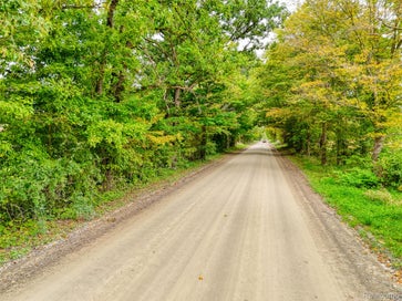 V/L PINGREE RD. Road Marion Township MI 48843