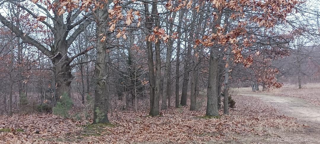 87573 County Road 668