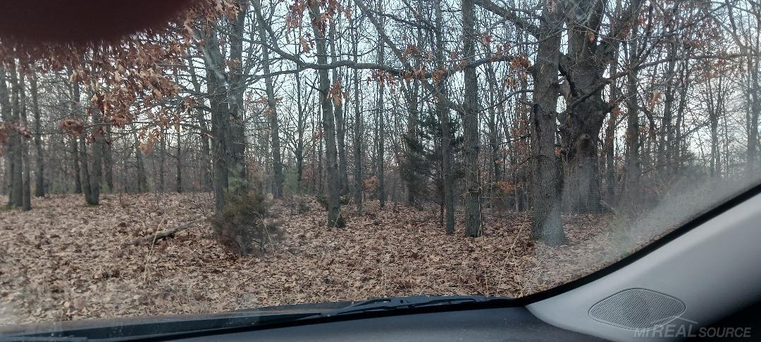 87573 County Road 668