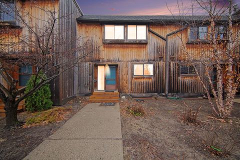 Photo of 2157 Pauline Court, Ann Arbor, MI 48103 (MLS # 81026009590)