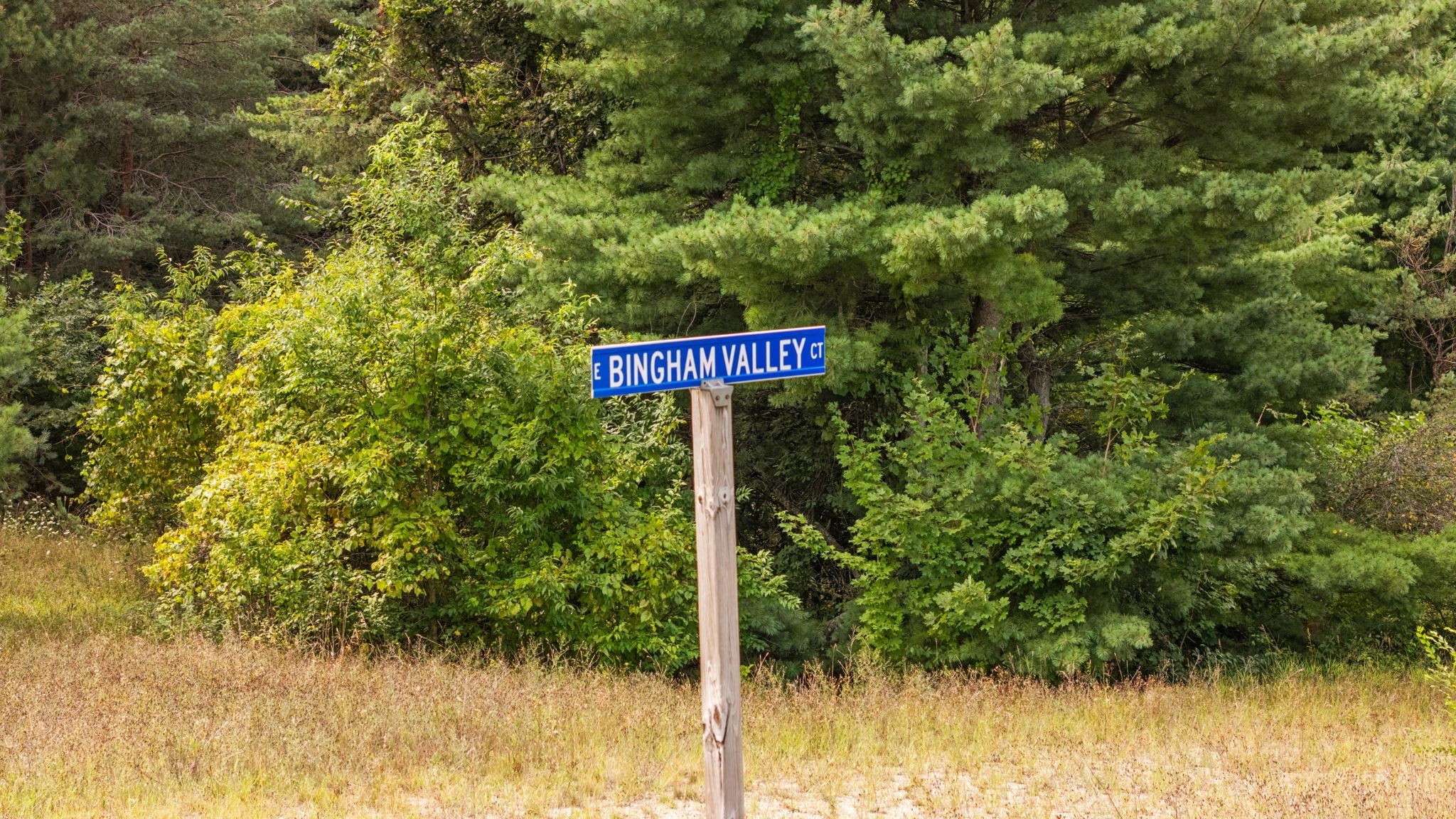 Lots 1 & 3 E Bingham Valley Drive