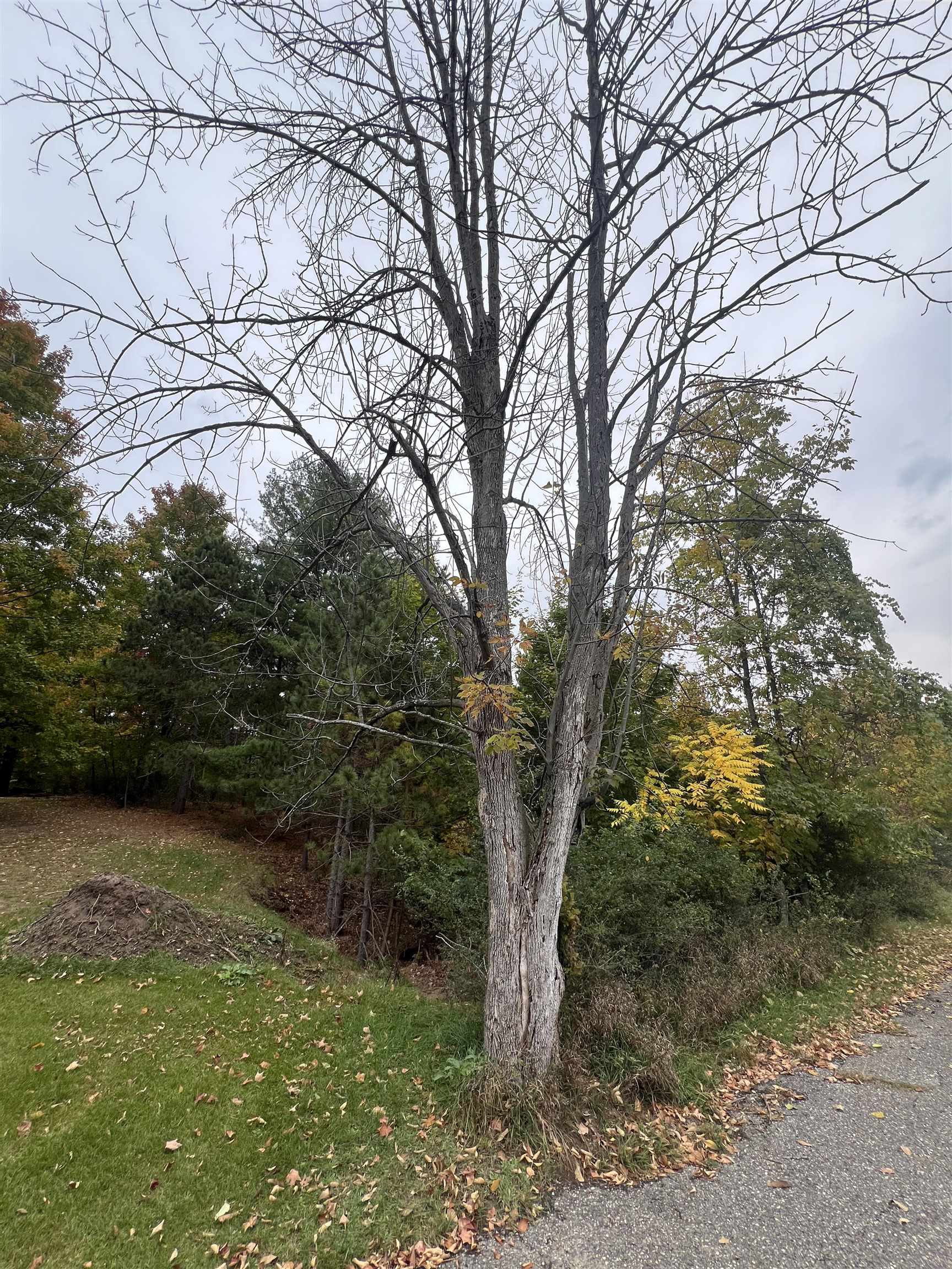 Lot 170 Jonathon Drive