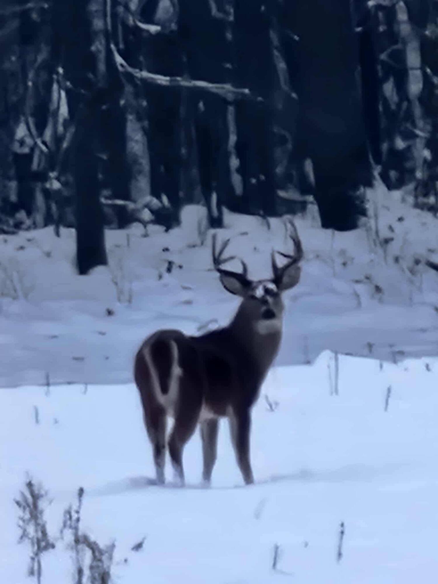 12251 Flowerfield Road