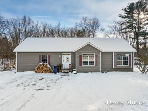 516 131st Avenue Wayland Township MI 49348