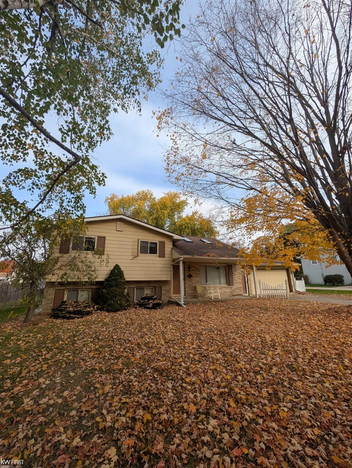 50226177-e614ca3d-dec1-40c6-a2af-8dd1060bae9e.JPG