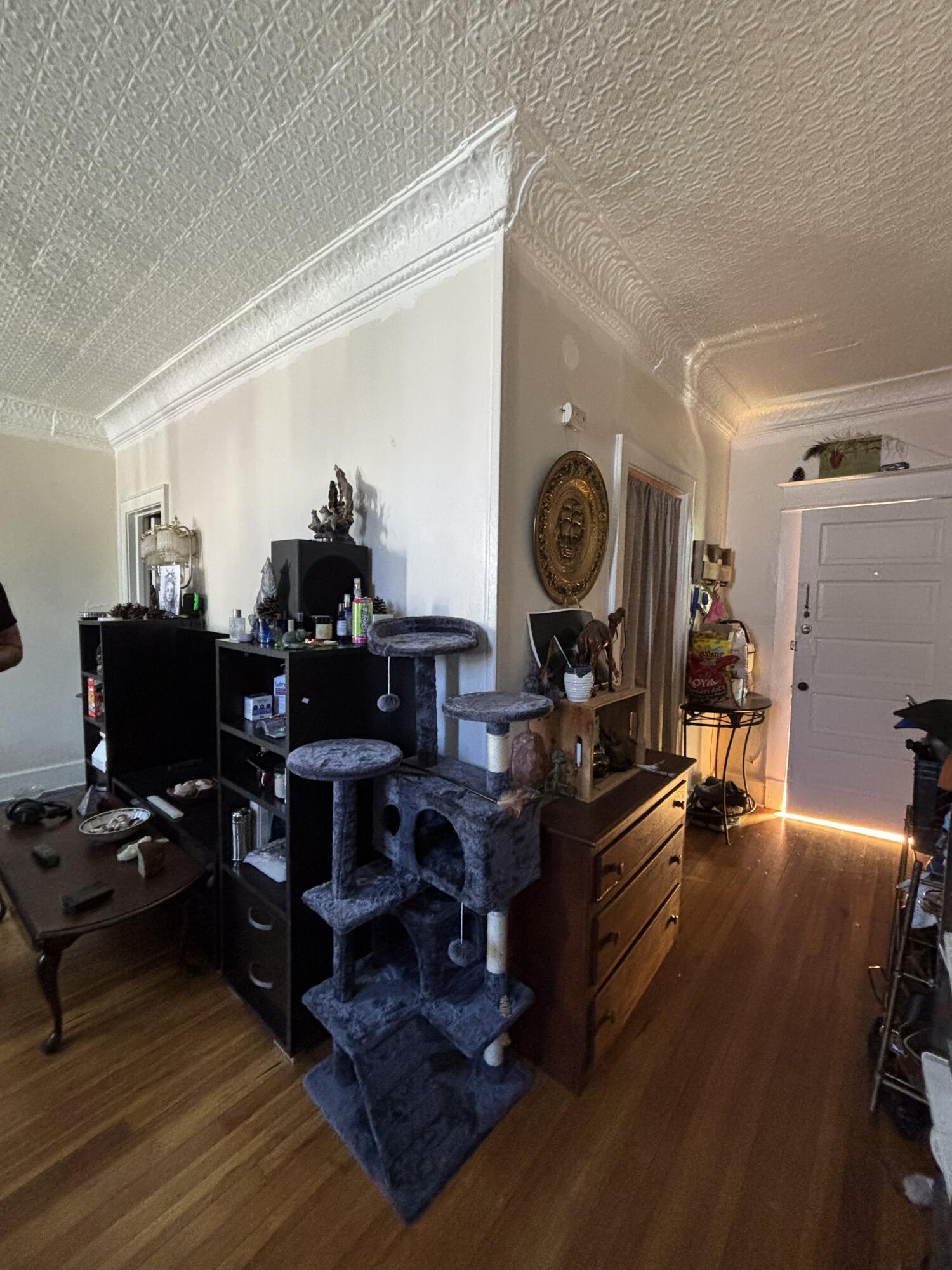 Albany, New York 12209, United States, ,Commercial,Active,240077