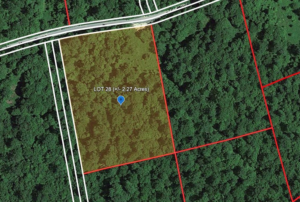 Photo 1 of 8 — Sassafras Lane, Bragg, WV 25918