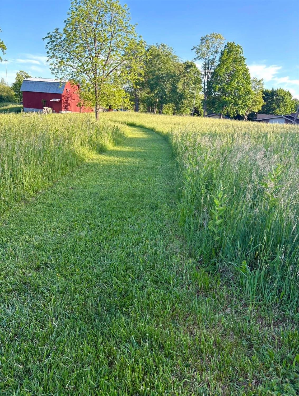Dry Hill Road - Photo 4