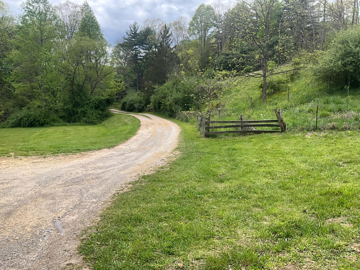 Brunty Hollow Road - Photo 2