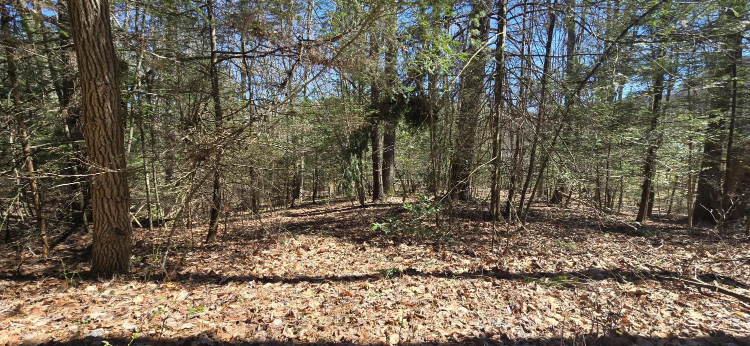 Photo 1 of 14 — Redbud, Daniels, WV 25832