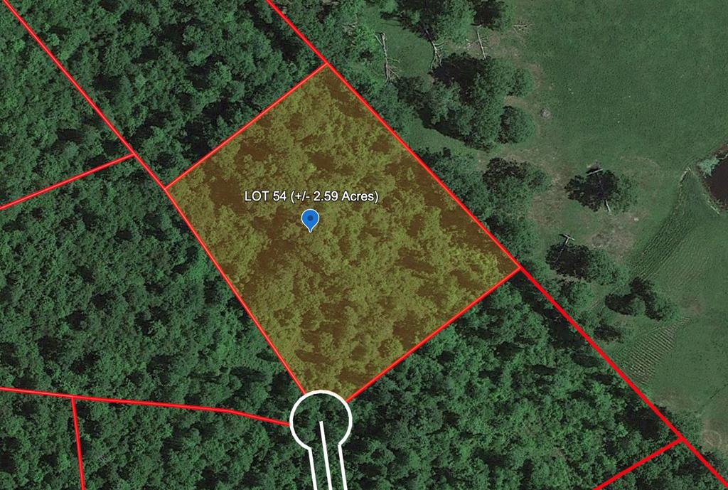 Photo 1 of 8 — Wildflower Lane, Bragg, WV 25918