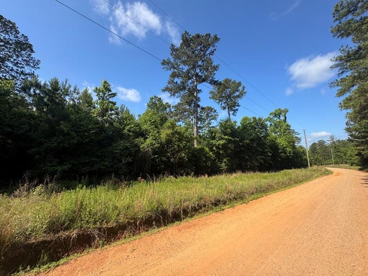 7 LEWIS RD, GEORGETOWN, GA 39854 - Image 02205958018b39baba4763c4dffedde3/2911437676