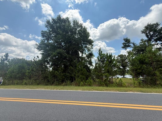 90 MALLARD PONTE LOT, DOUGLAS, GA 31535 - Image 087b9a5ff236ccc75a2bc7e8776dd063/2775609316