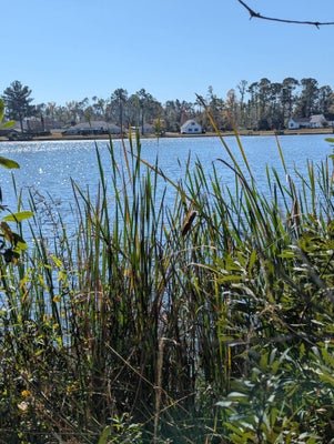 4 BAYMEADOWS DR, DOUGLAS, GA 31535 - Image 5a1e3936e7eff5cff10f3dba0cbe5352/888059330