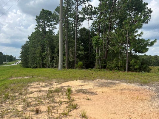00 ROCKY POND ROAD, DOUGLAS, GA 31533 - Image b4e77afa9b0507ad35c5c6f6c2f57f4d/3030078341