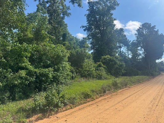 20 MOORE MEADOW DR, GEORGETOWN, GA 39854 - Image fabbd1ae94c8a41a5e9f1caa38eb8f10/2649491564