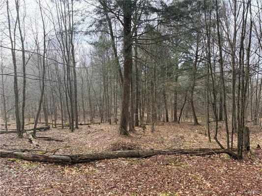 ADDRESS PRIVATE, PITCHER, NY 13136 - Image 02525254f2161b1336deeb9f616cee60/1444651237