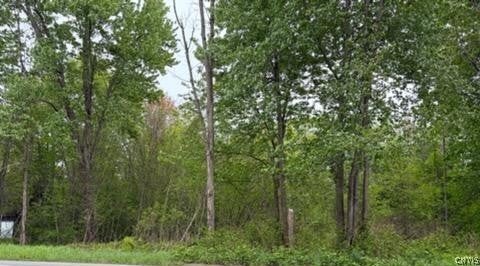 ADDRESS PRIVATE, BLOSSVALE, NY 13308 - Image 0763b49dfa2eb2ece40c350bfdd33e60/1220747012