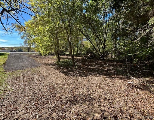 0 W END AVENUE, CARTHAGE, NY 13619 - Image 0bfd8e009c07545a4c9ef26e7d4de4ff/857254453