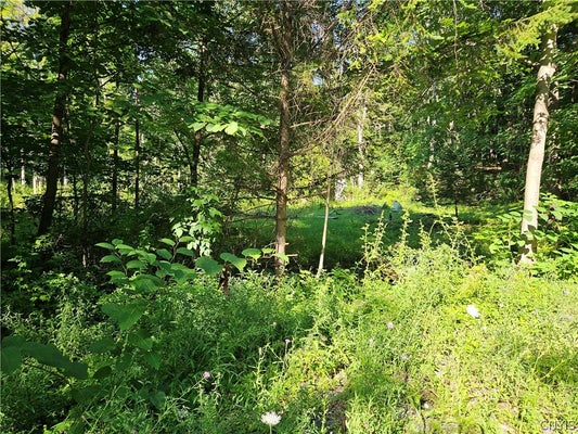 STABLES RD, CHITTENANGO, NY 13037 - Image 147b97383ec093176eca1f7f9a4e3d1e/831557059