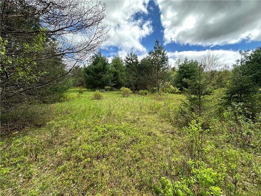 0 PINE TREE ROAD, NEW BERLIN, NY 13411 - Image 158f017bd9b40746e082d75bf64deae6/573988865