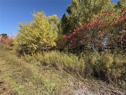 1521 SHOEMAKER RD, MOHAWK, NY 13407 - Image 19d449ea4f17ecfae89371eea22fc41a/894536868