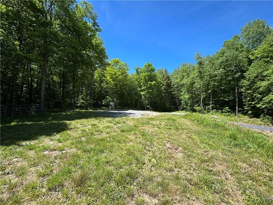 7702 HIAWATHA LAKE RD, GLENFIELD, NY 13343 - Image 1a4e0ca31b4b8c78ebf4e2010111c090/1917494799