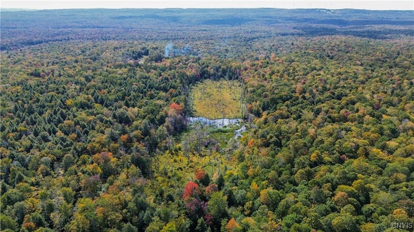999 JERSEYFIELD RD, LITTLE FALLS, NY 13365 - Image 1b7bc146f2ca72be2b736f2dae53807c/19569168