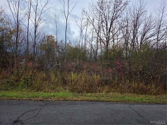 4TH AVE, NIAGARA FALLS, NY 14304 - Image 1feebafbd66db88b9750e67aa708596e/2602809194