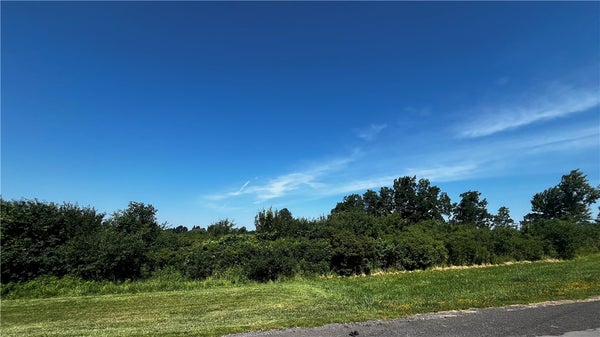 MCINTYRE RD, CANANDAIGUA, NY 14424 - Image 291e25dff2f2a32d9c11cfe3bad81e9e/3354347589