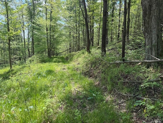 DYE RD, SOUTH DAYTON, NY 14138 - Image 2f8cc5c52d9cddedf1dd5eb9c48c1a4b/2186201461