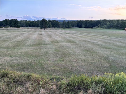 4457 EAST RD, TURIN, NY 13473 - Image 307c34d3dcf00cd454d314bbfe7c219b/2775524435