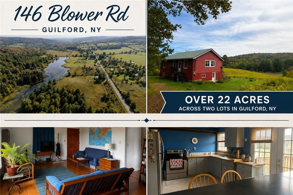 146 BLOWER RD, GUILFORD, NY 13780 - Image 359f83ecd8a9c2124d4c20d1bbdbd894/129437119