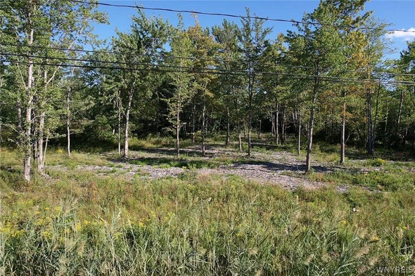 V/L SOUTHWESTERN BOULEVARD, ANGOLA, NY 14006 - Image 4017e4c6f2e393a540e5e7cfc13fa092/1294362863