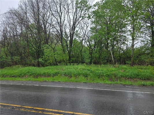 6158 QUARRY RD, CANASTOTA, NY 13032 - Image 42cc756f40b2c752fbf5248dc2a063bb/3849086891