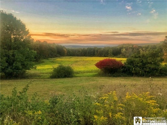 1004 WIGREN RD, FREWSBURG, NY 14738 - Image 4558b6d40afa4fca1ec9573ada2dbd4e/1516708855