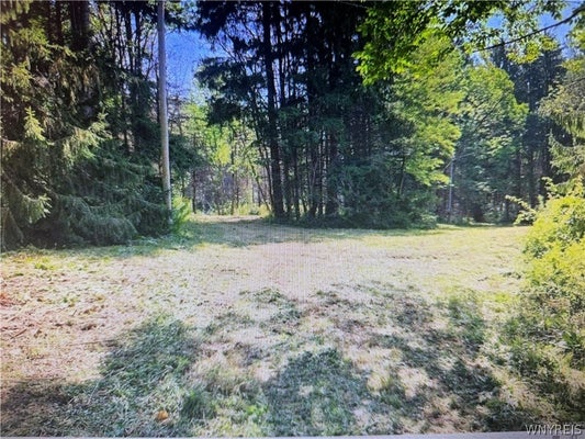 6984 BOWERS RD, CASSADAGA, NY 14718 - Image 4b7e3050fa5769c18349fa81e00a022a/135378635