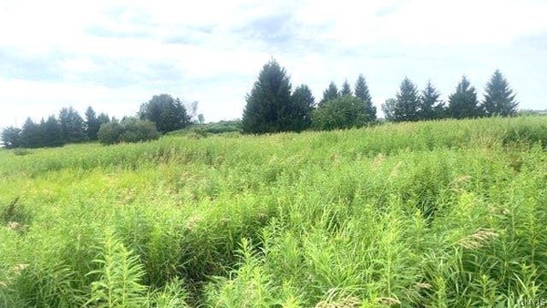ROCKBROOK ESTATES RD, EVANS MILLS, NY 13637 - Image 4e129fe9d142d0e5374fa3bacead77cf/1733746523